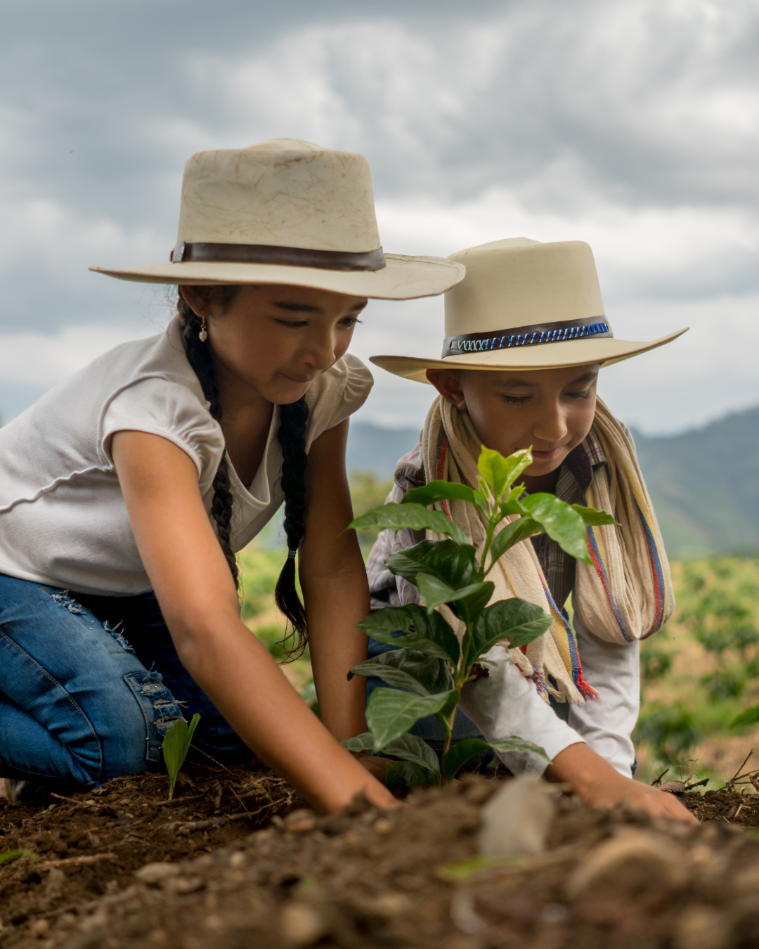 Small Acts, Big Impact by Elpida Minadaki 1 - Σπίθες